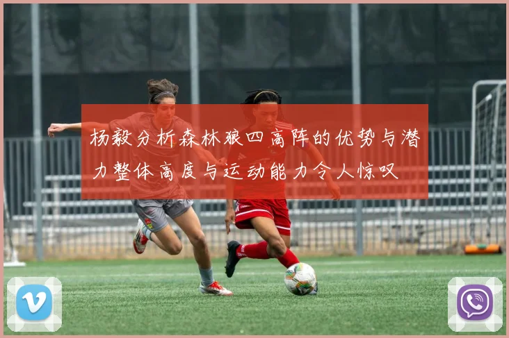 杨毅分析森林狼四高阵的优势与潜力整体高度与运动能力令人惊叹